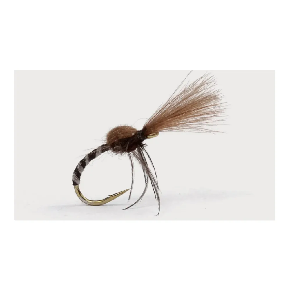 Guideline Spider Midge Genders