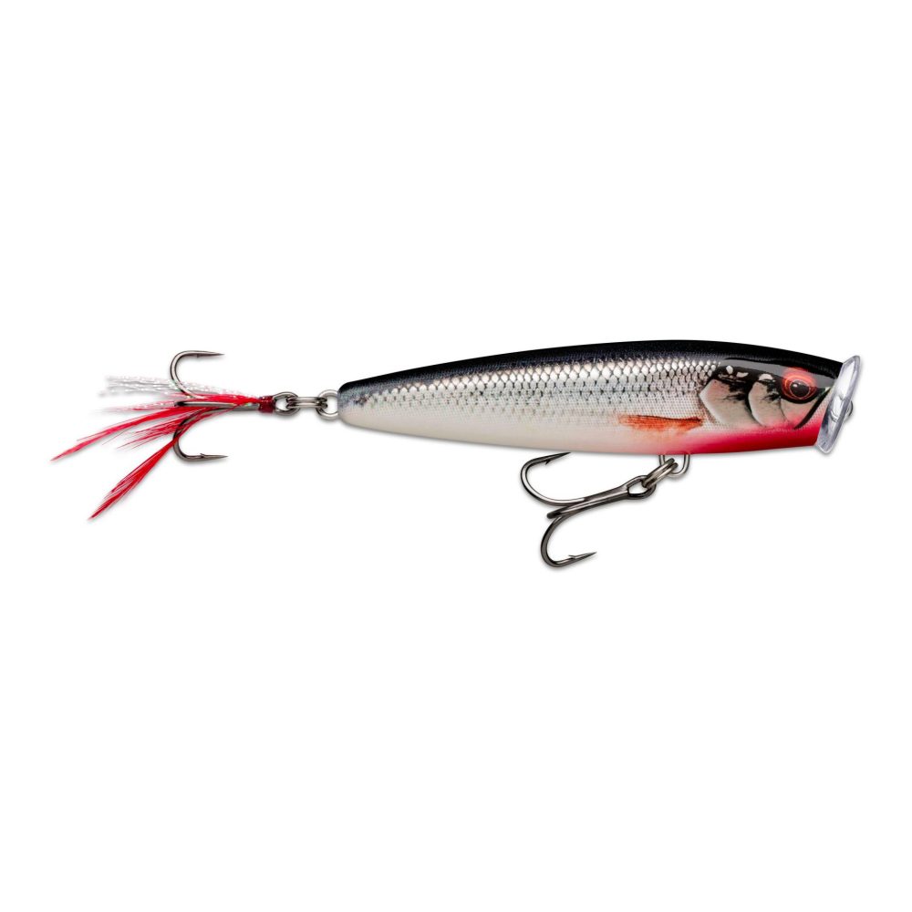 Rapala Skitter Pop Elite - Popper