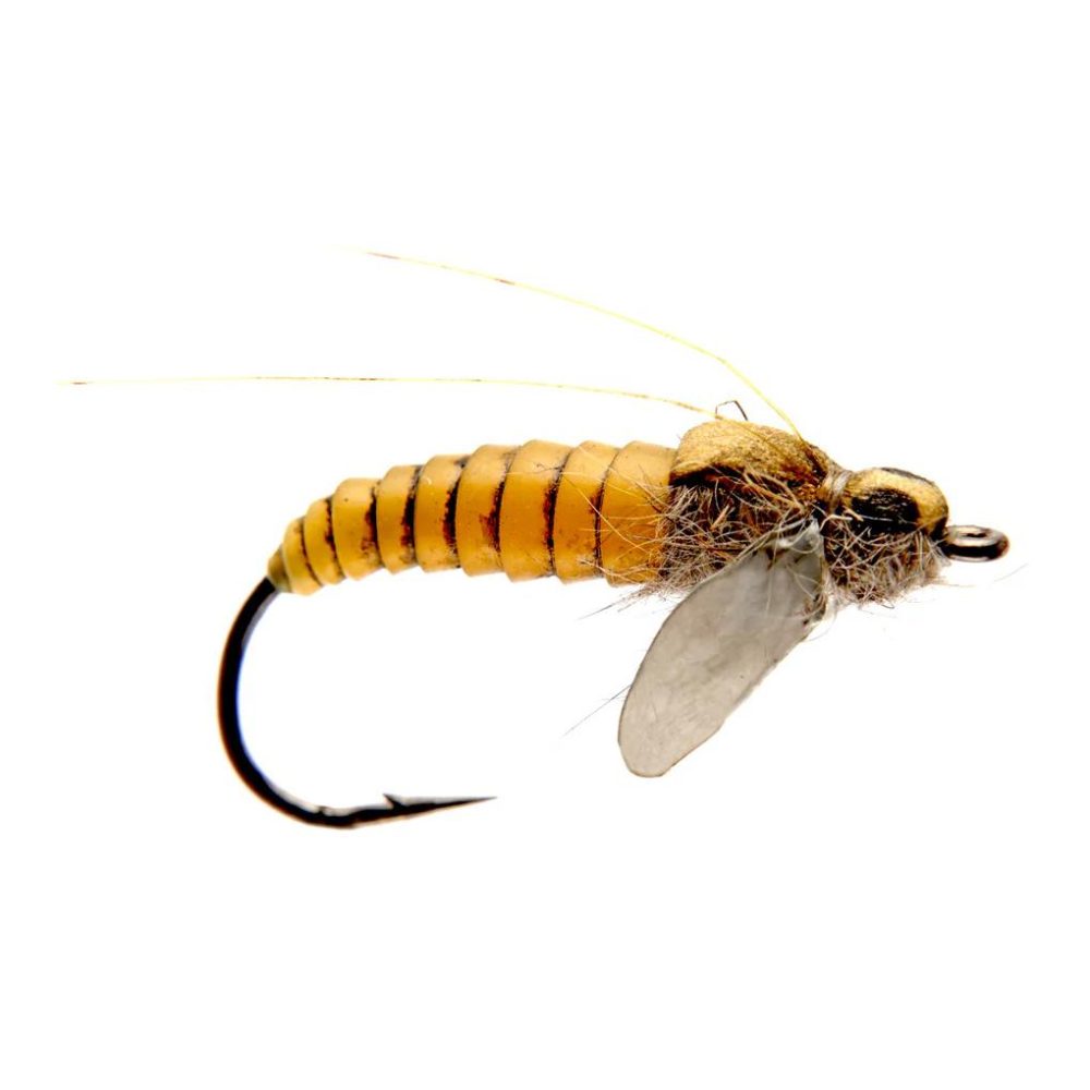 J:son Caddis Pupa - Nymphe