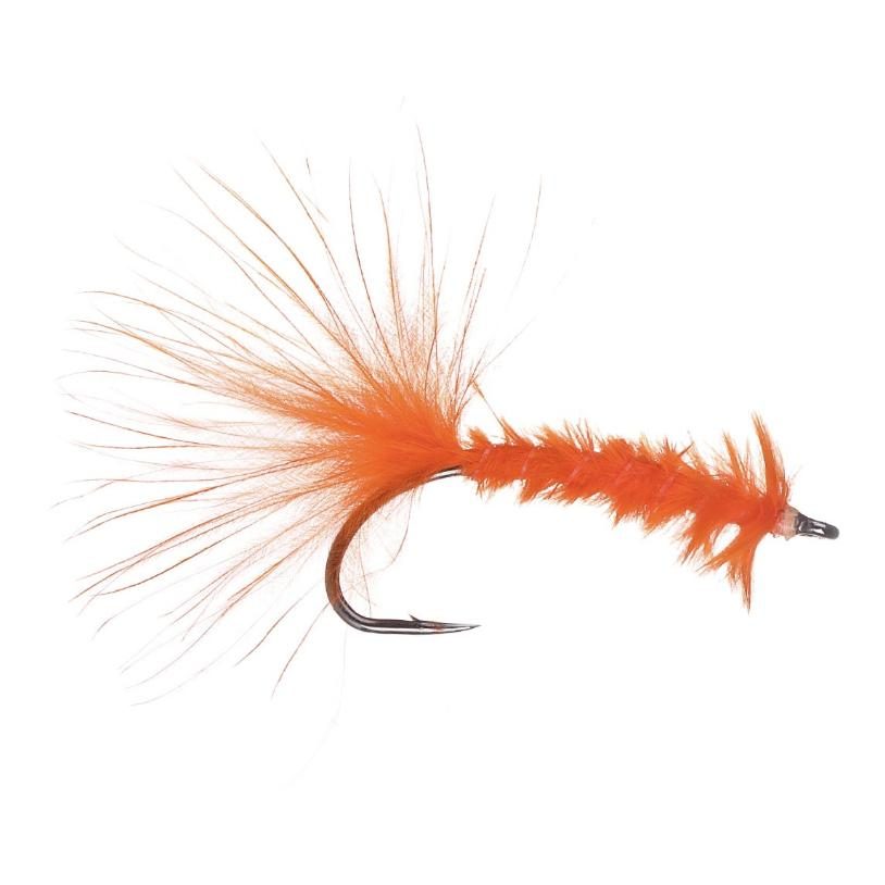 Guideline Killer Worm