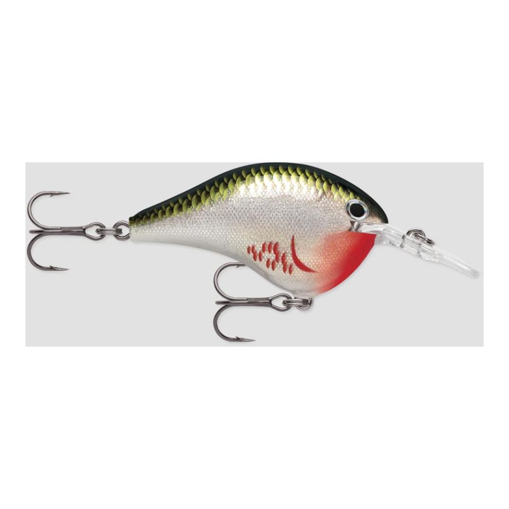 Rapala DT® (DIVES-TO) SERIES - Wobbler