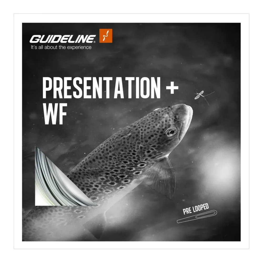 Guideline Presentation+ WF/F - Fliegenschnur