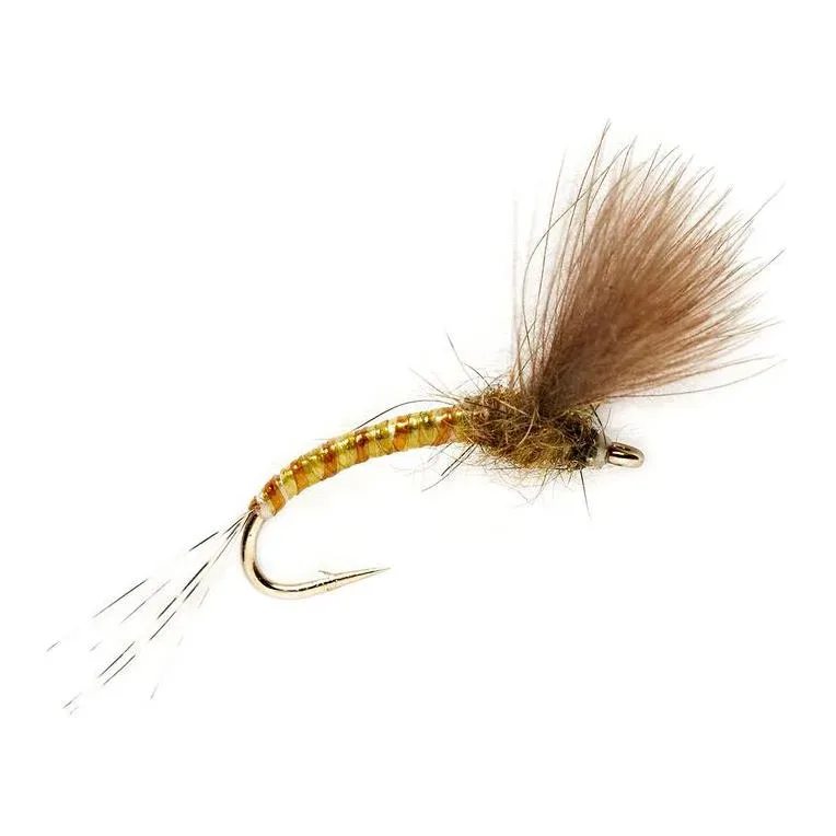 Fulling Mill KJ Olive Emerger - Trockenfliege