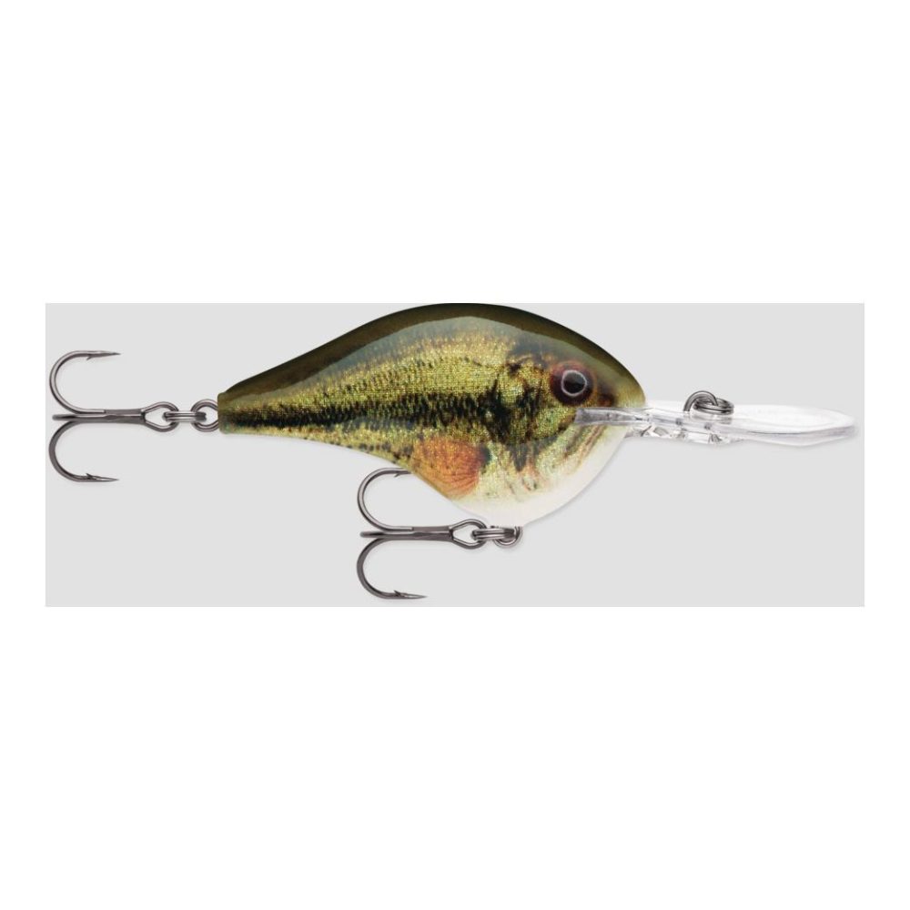 Rapala DT® (DIVES-TO) SERIES - Wobbler