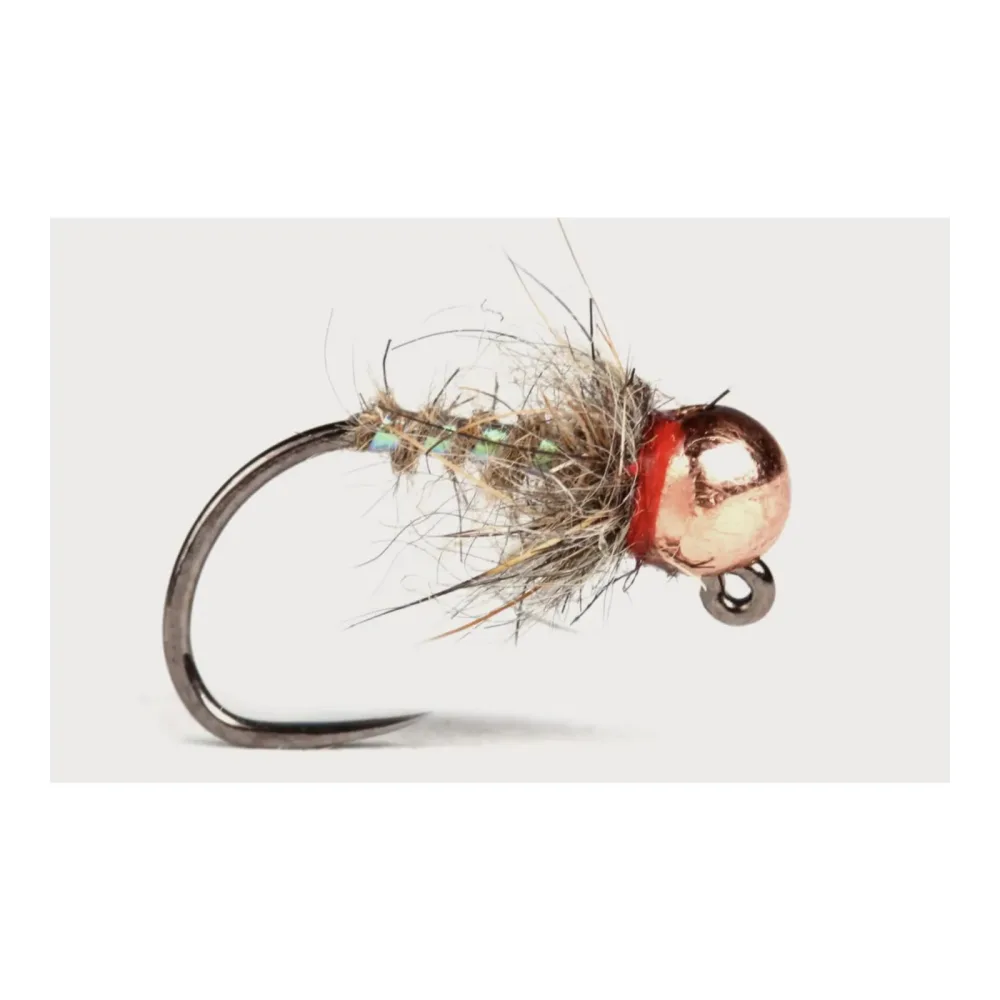 Guideline The Pearl Hare