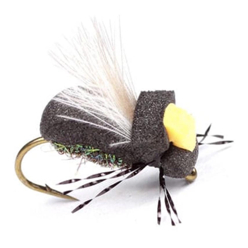 Guideline High-Viz Peacock Beetle