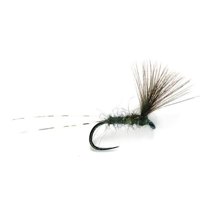 Fulling Mill JL CdC Upwing o.W. - Trockenfliege