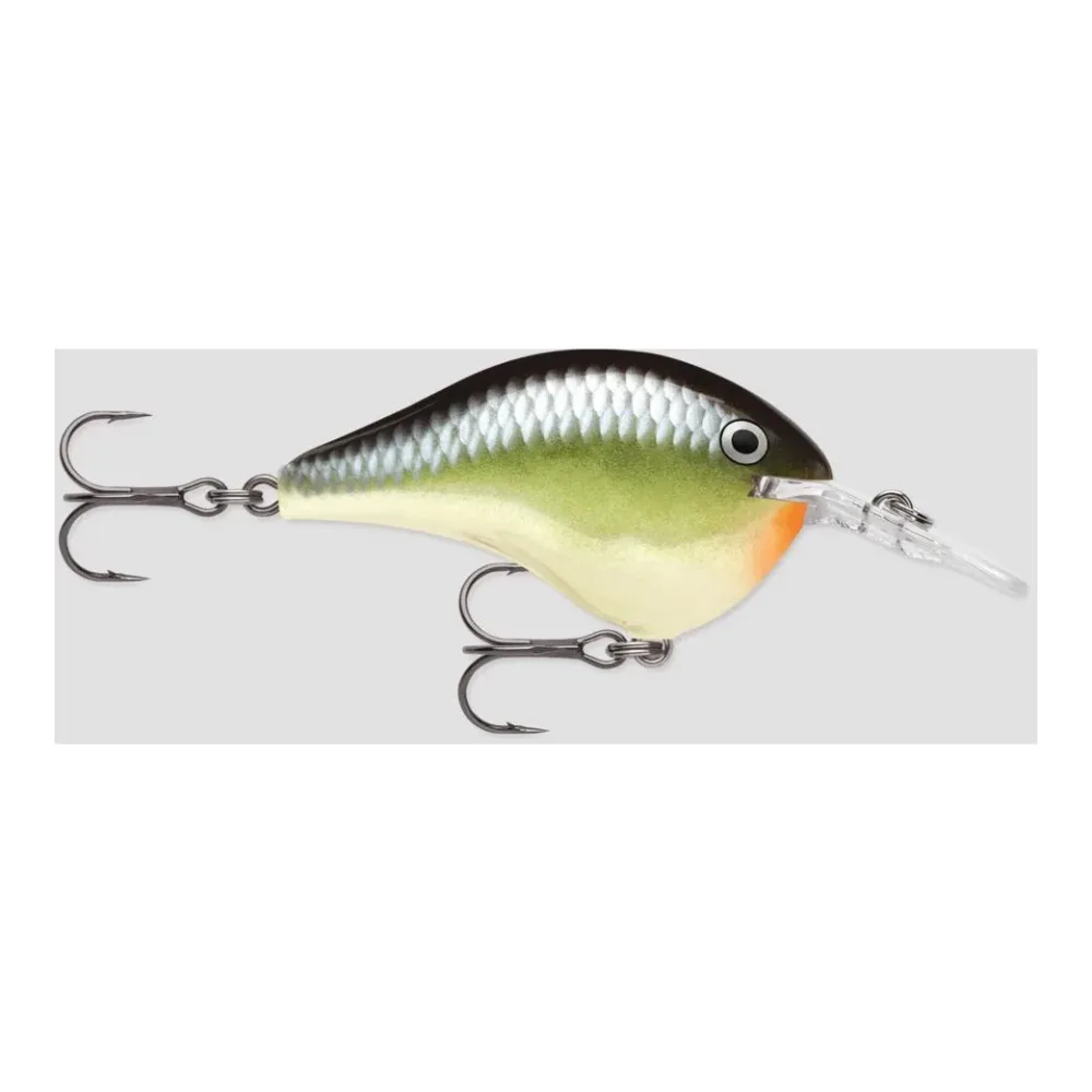 Rapala DT® (DIVES-TO) SERIES - Wobbler