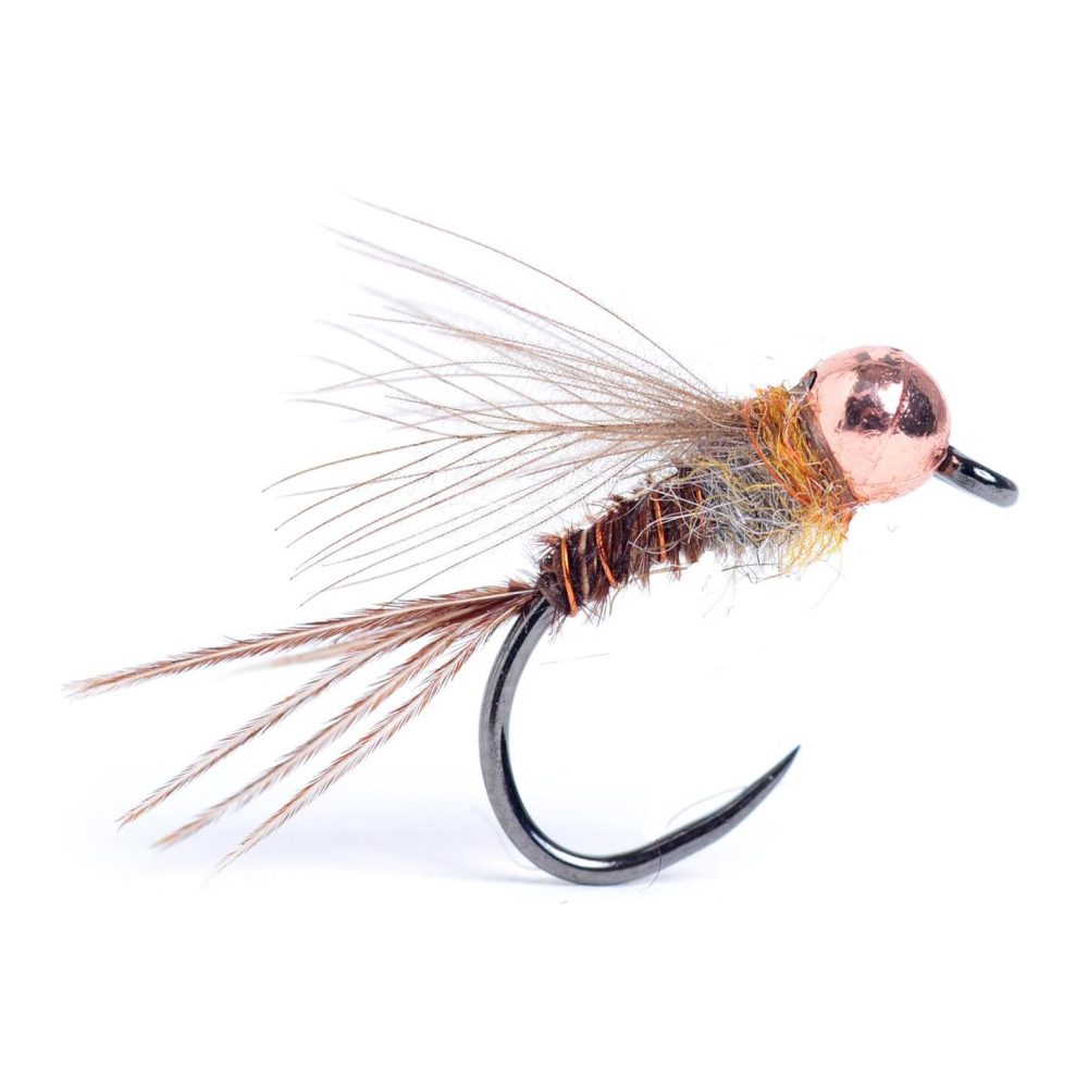 Guideline Sweet Pheasant - Nymphe