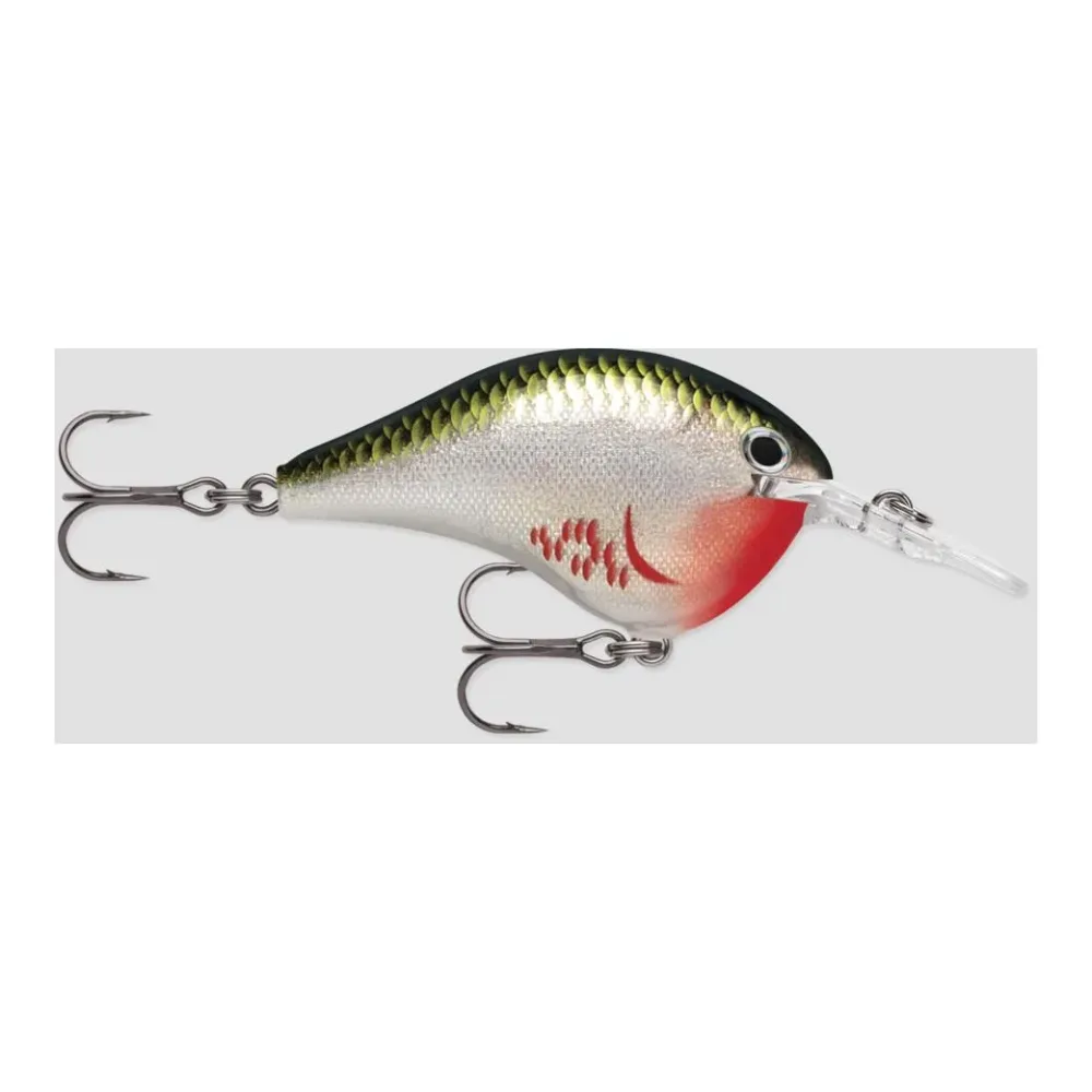 Rapala DT® (DIVES-TO) SERIES - Wobbler