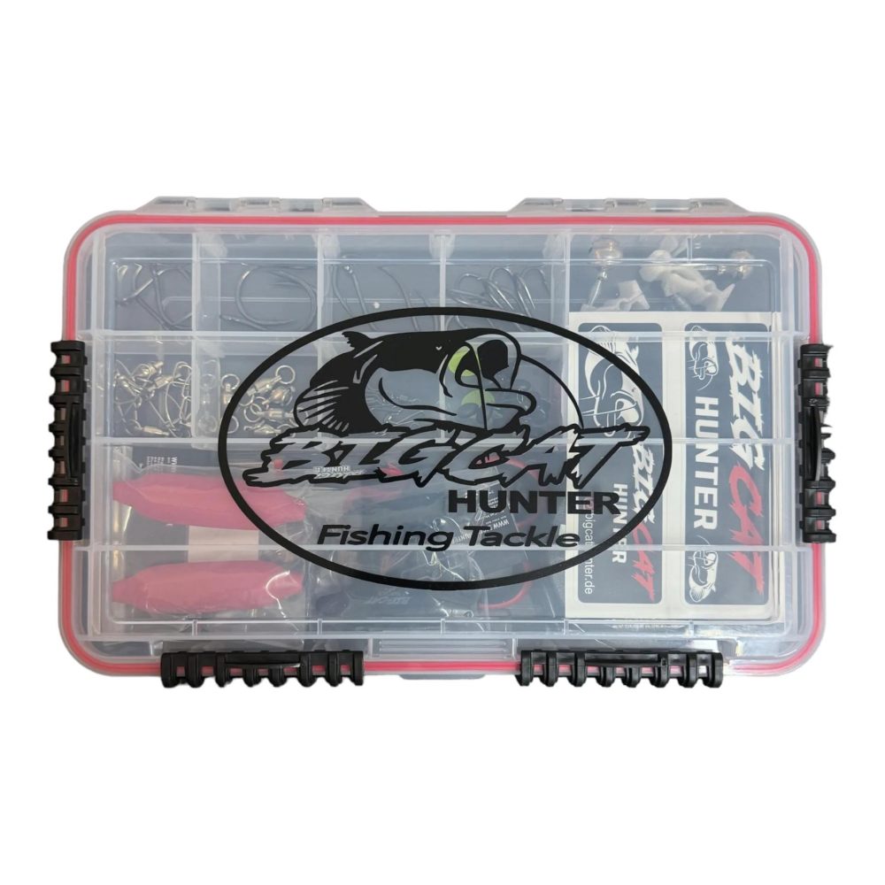 Bigcat Hunter Waller Box ,,Start“