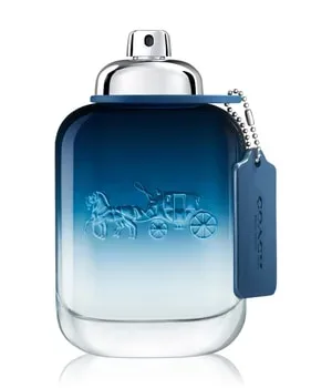 Coach Blue Eau De Toilette Spray 100 ml