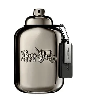 COACH Pure Platinum Parfum 100 ml Herren