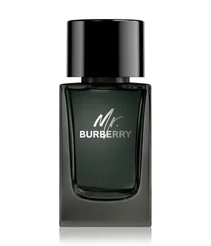 BURBERRY Mr. Burberry Eau de Parfum 100 ml Herren