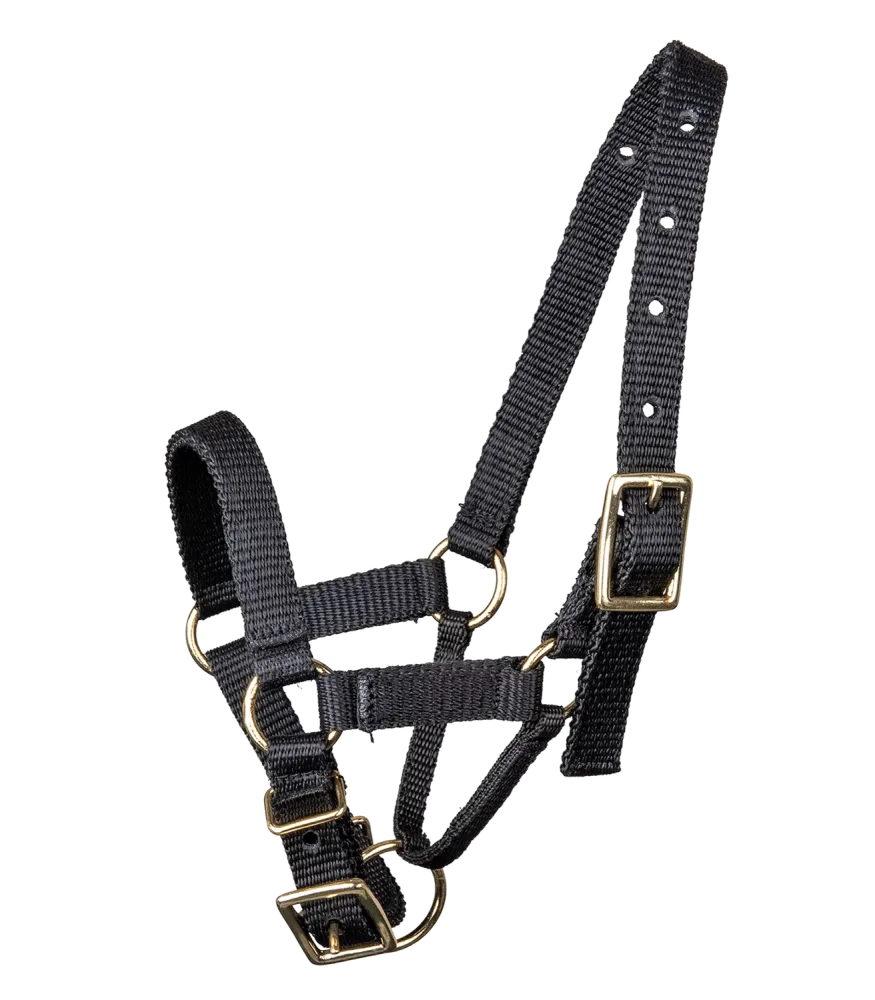 Waldhausen Alpaka Halfter