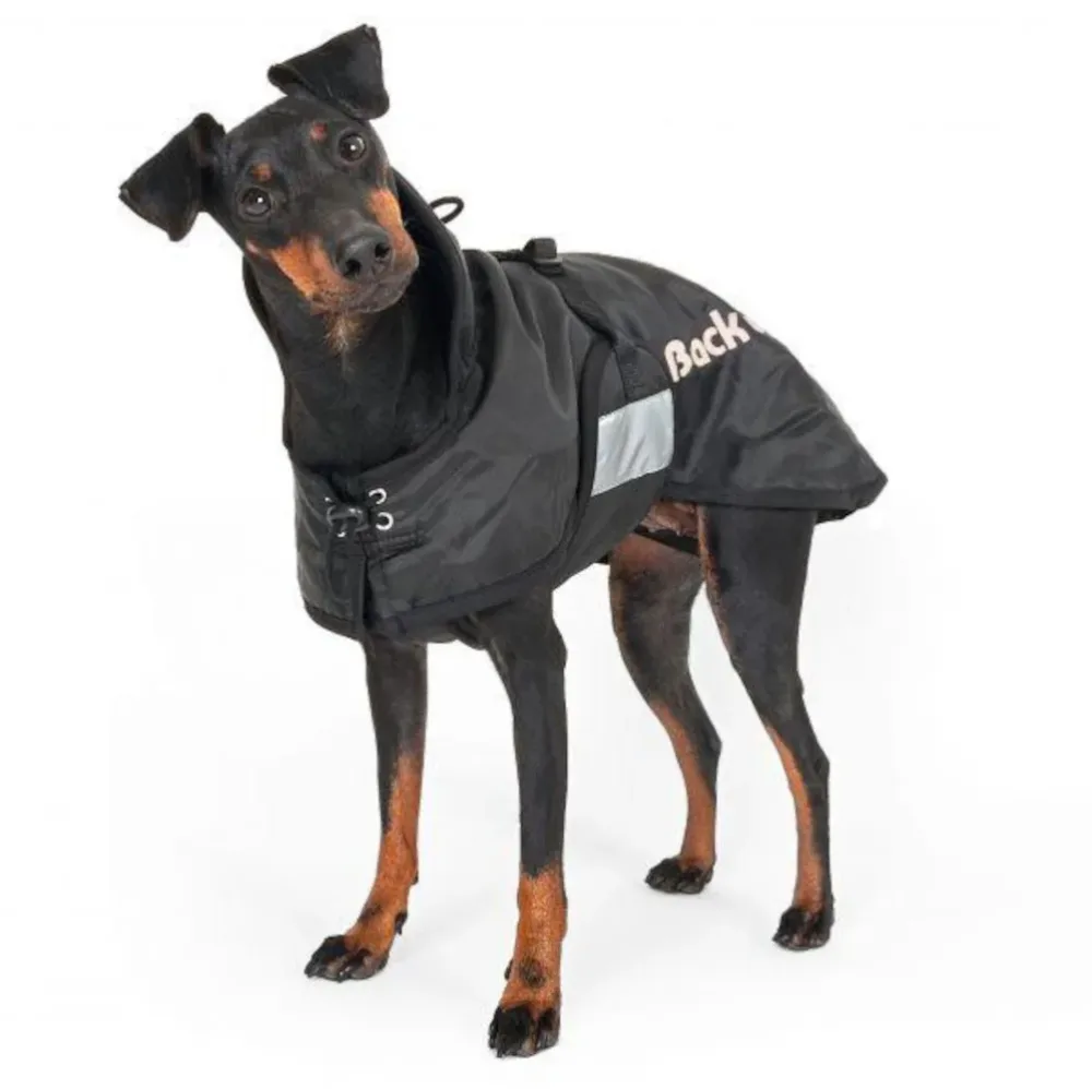 Back on Track Standardmantel Hundedecke