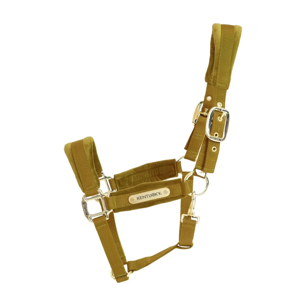 Kentucky Horsewear Velvet Halfter