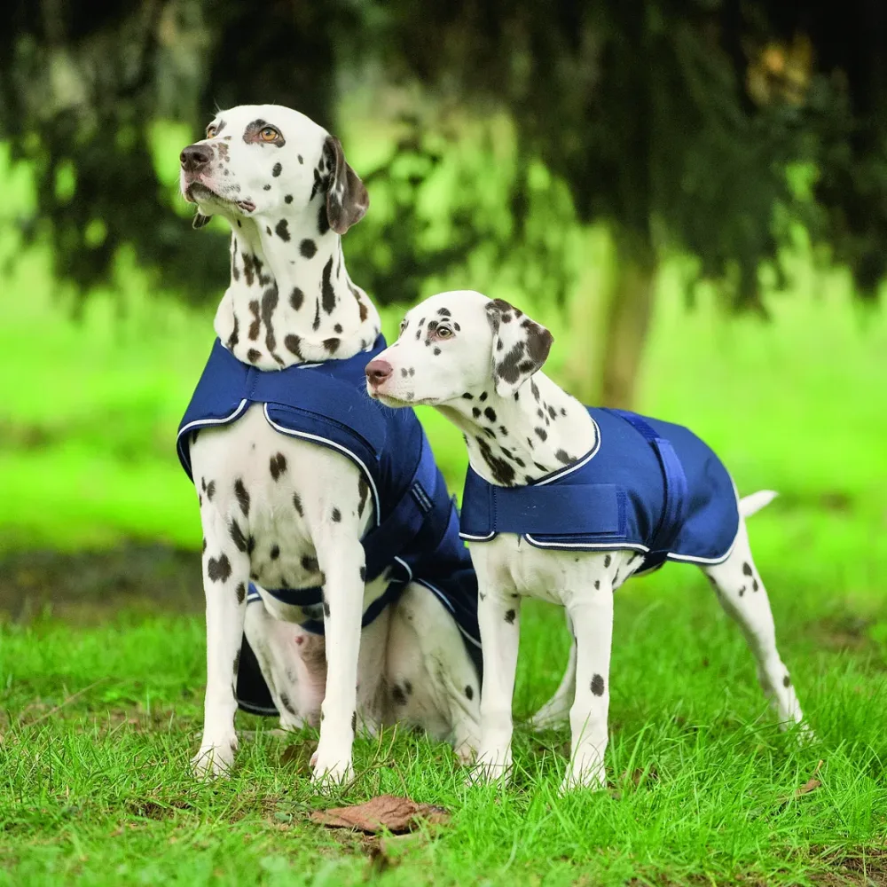 Waldhausen Hunde Regendecke