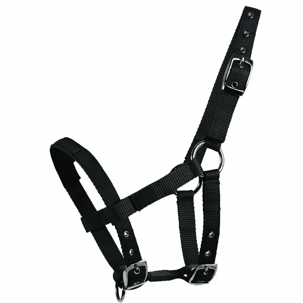 Waldhausen MiniShetty Halfter