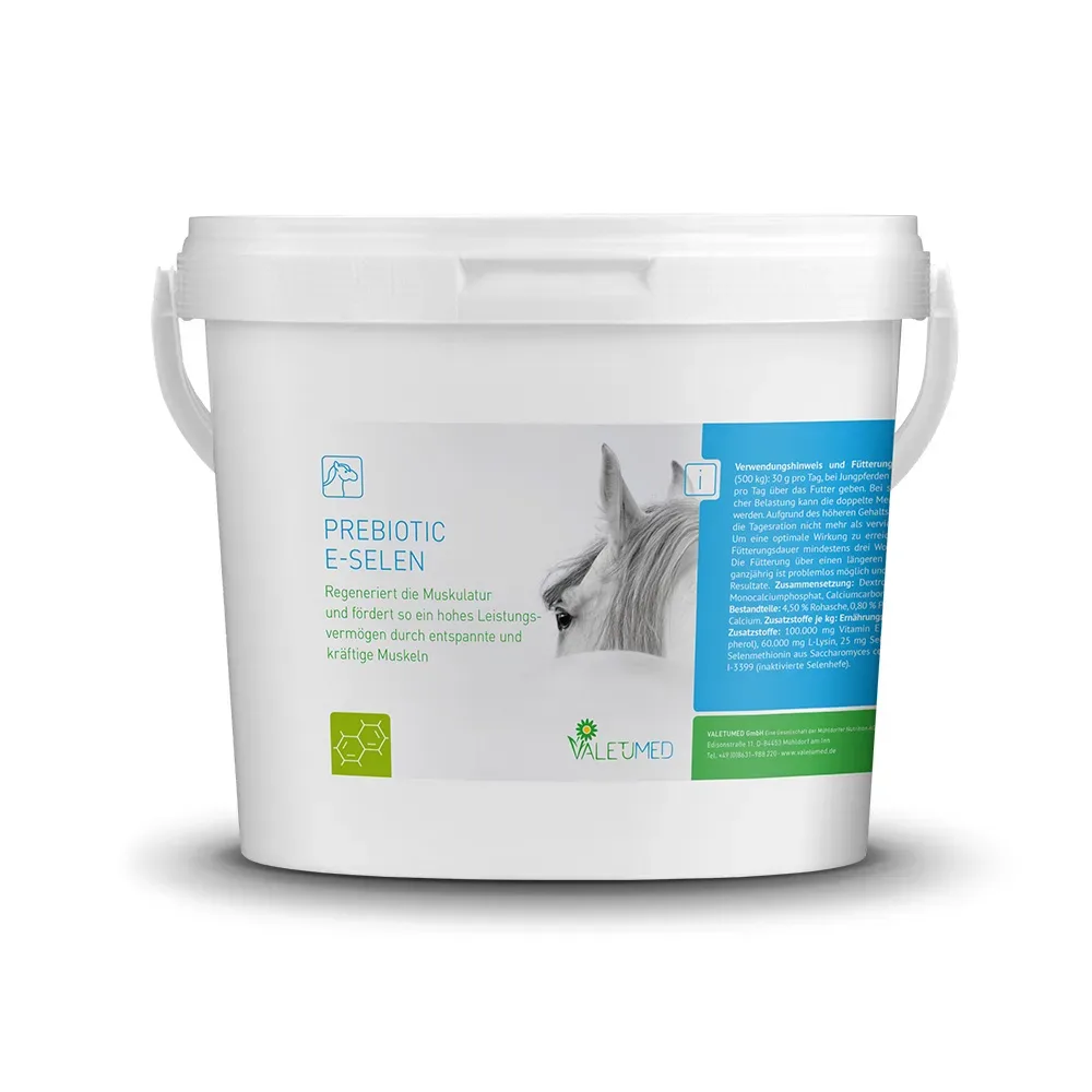 Valetumed Prebiotic ESelen unterstützt die Muskelregeneration