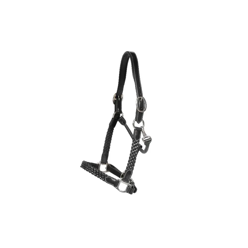 Dyon Plaited Halfter