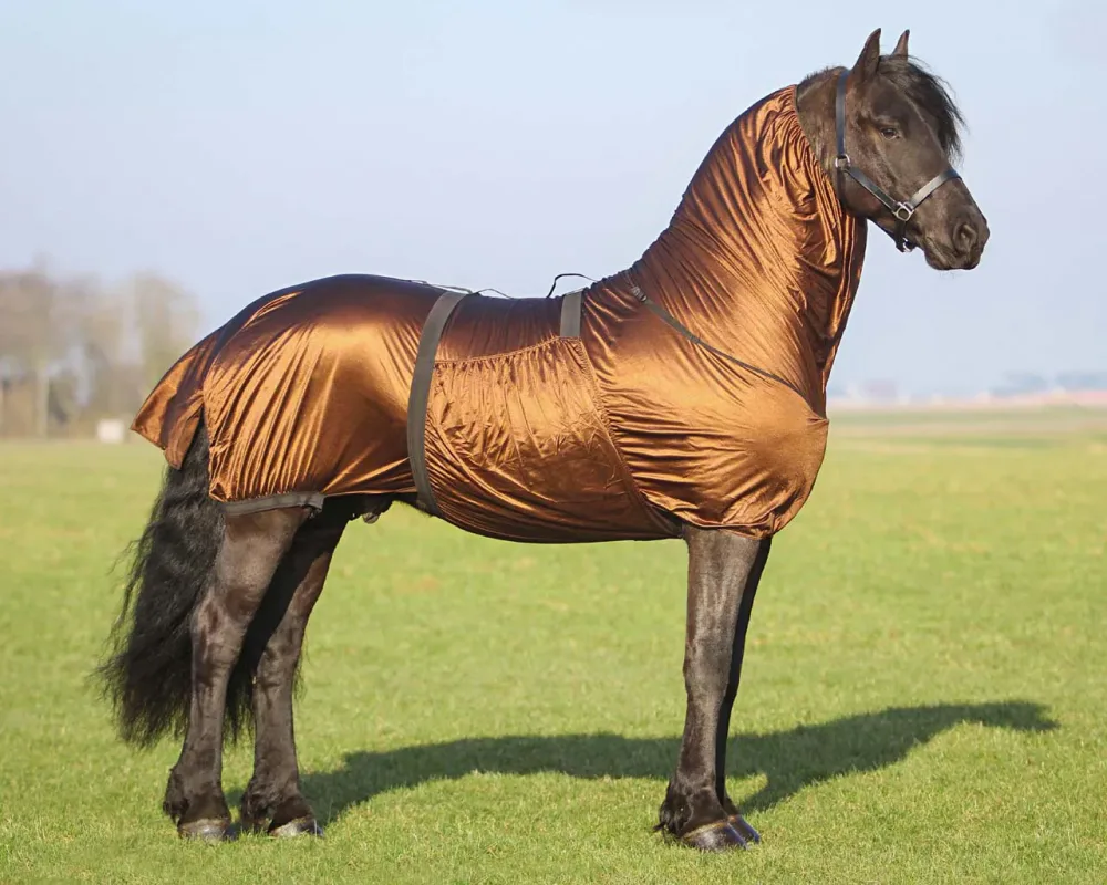 QHP Ekzemdecke Bigneck