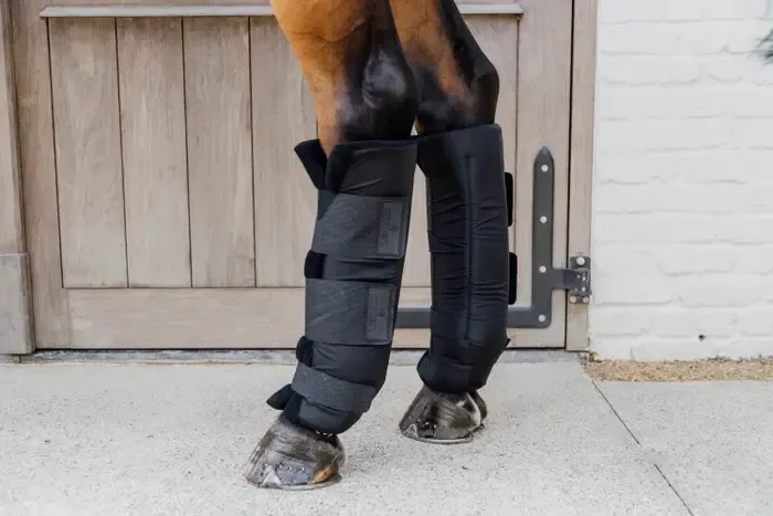 Kentucky Horsewear Stallgamaschen PROtect Classic Hinten