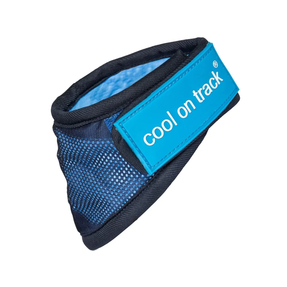 Back on Track Cooling Bandana