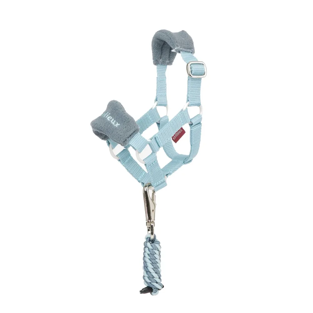 LeMieux Toy Pony Vogue Halfter und Führstrick Glacier