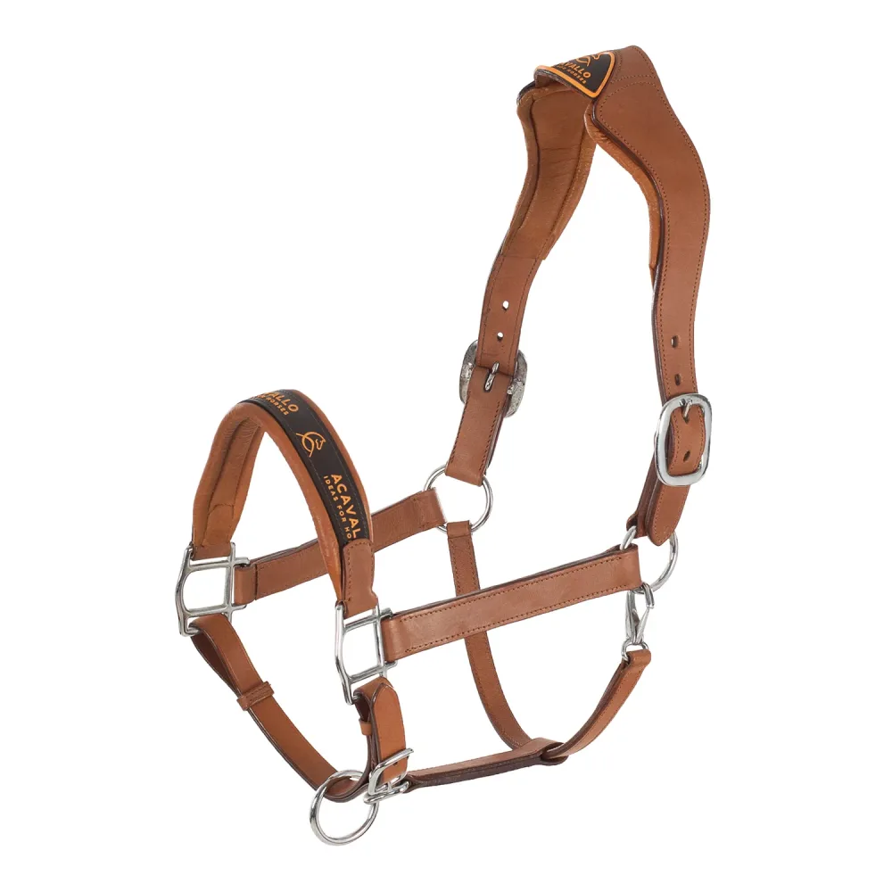 Acavallo Halfter Leder anatomisch