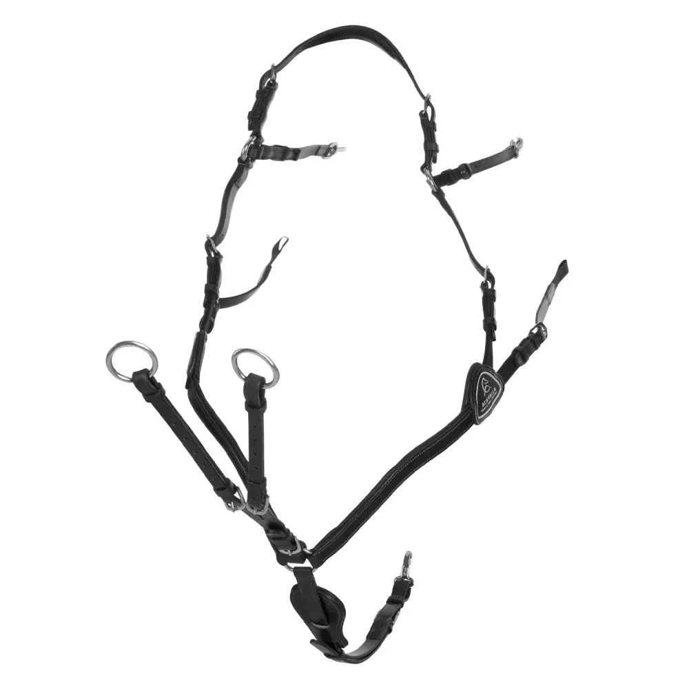 Acavallo 5Punkt Vorderzeug Kalbsleder anatomisch