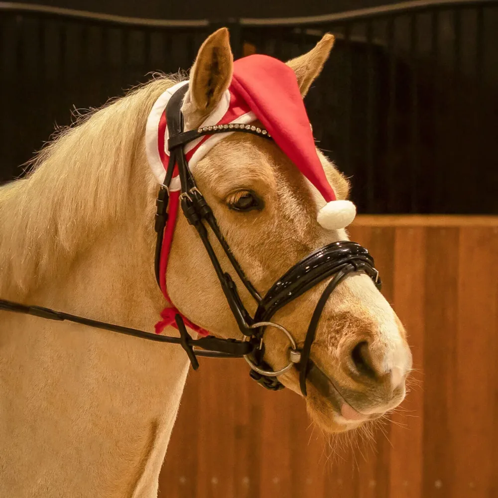 QHP Weihnachtsmütze Pferd
