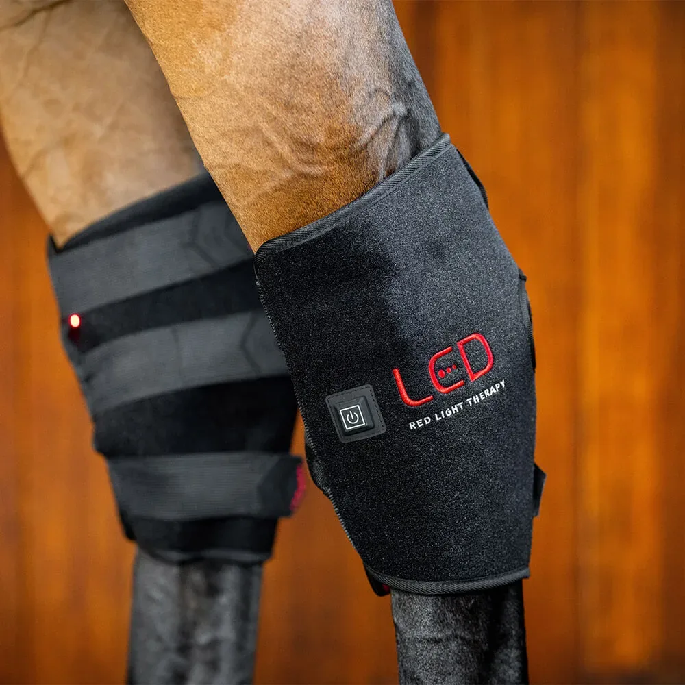 Horseware LED Red Light Therapy  Sprunggelenkbandage