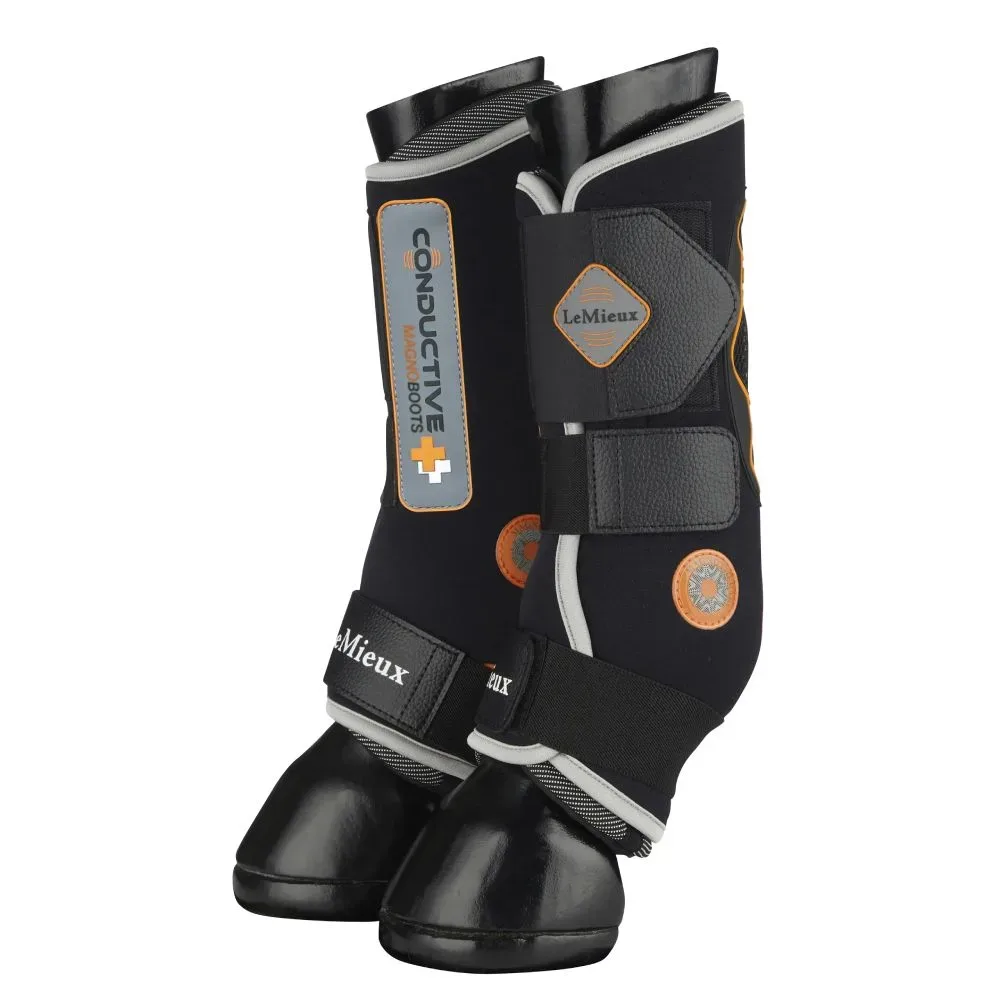 LeMieux Magnetfeld Gamaschen