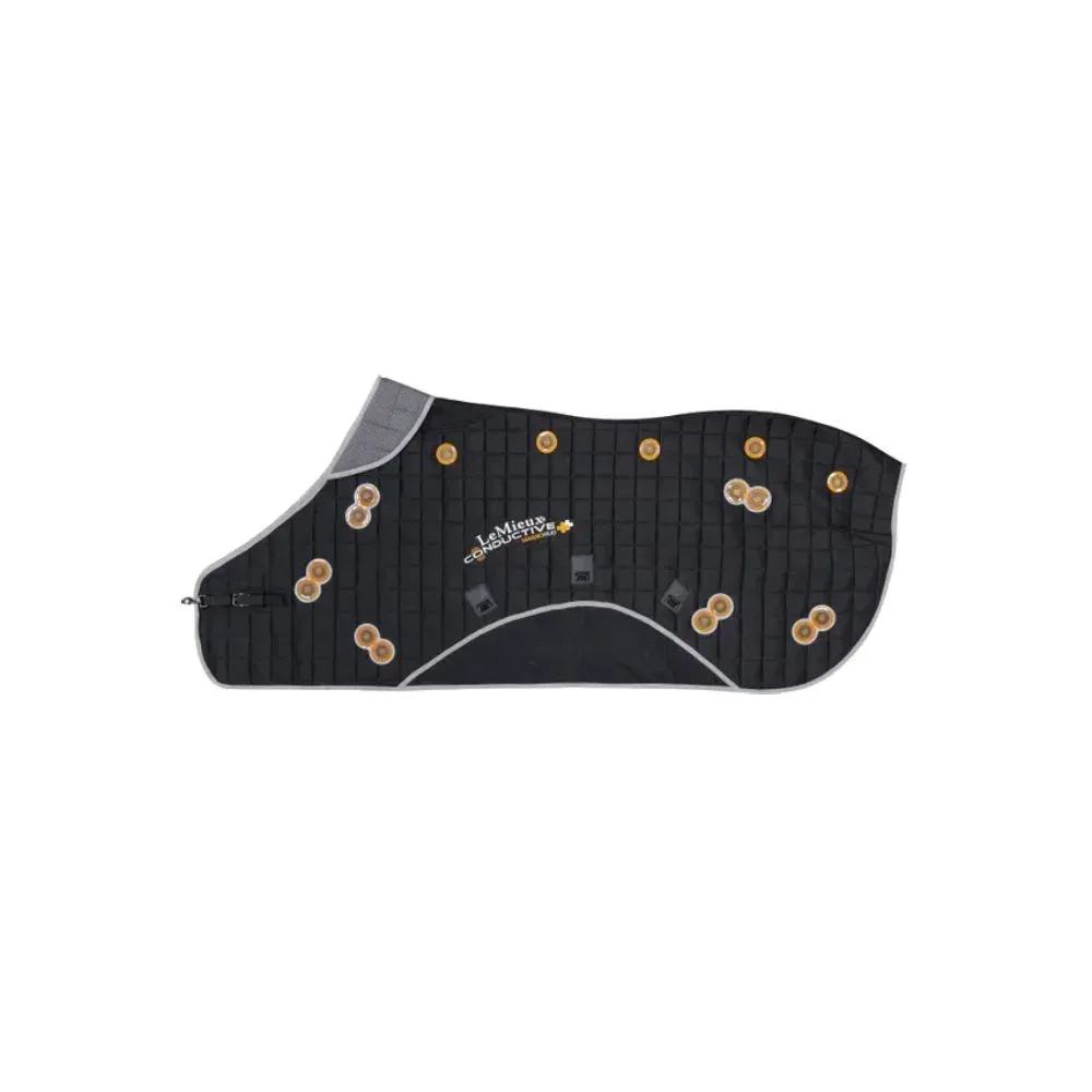 LeMieux leitfähige Magnetfeld Decke