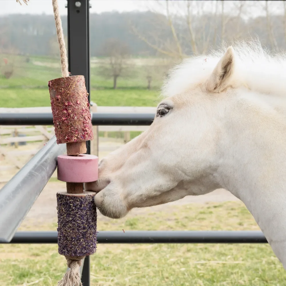 Grooming Deluxe Wooden Relax Horse Toy with Salt Lick