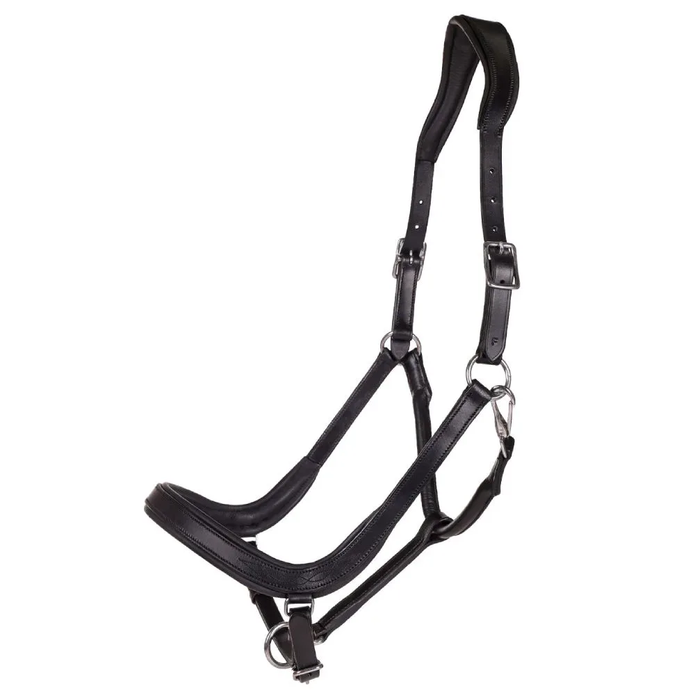 QHP Halfter Salerno anatomisch