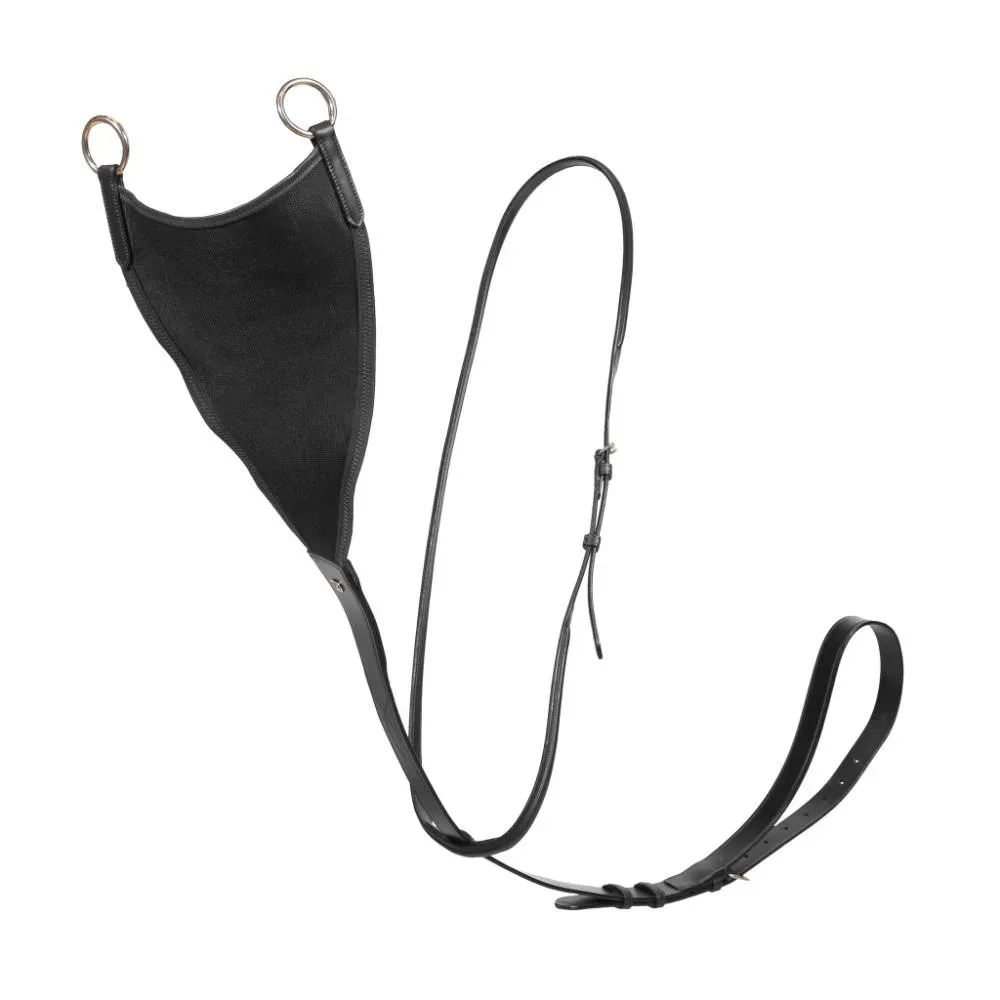 Dyon Elastische BibMartingal New English Collection