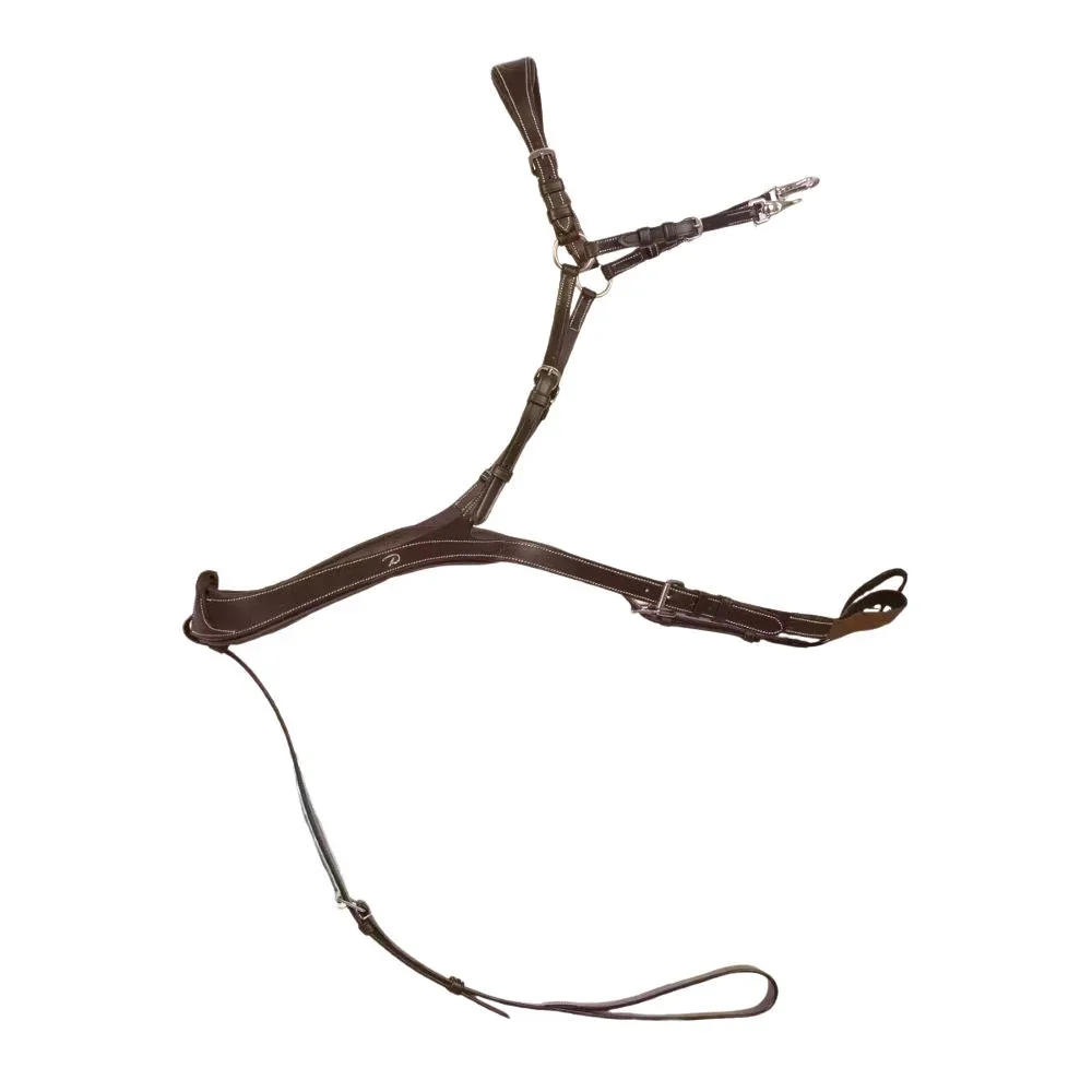 Dyon anatomisches Vorderzeug US Collection