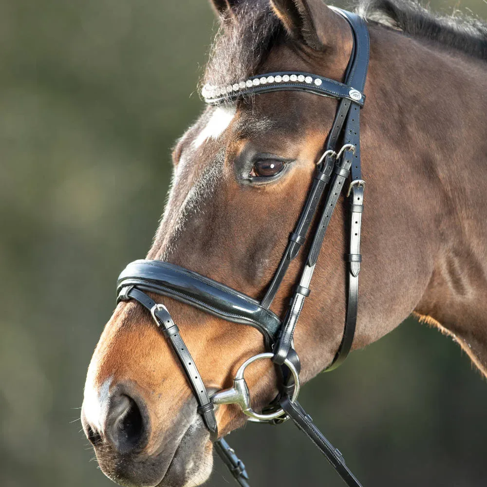 HFI anatomische Lacktrense Shiny mit Kristallstirnband und Spezialreithalfter