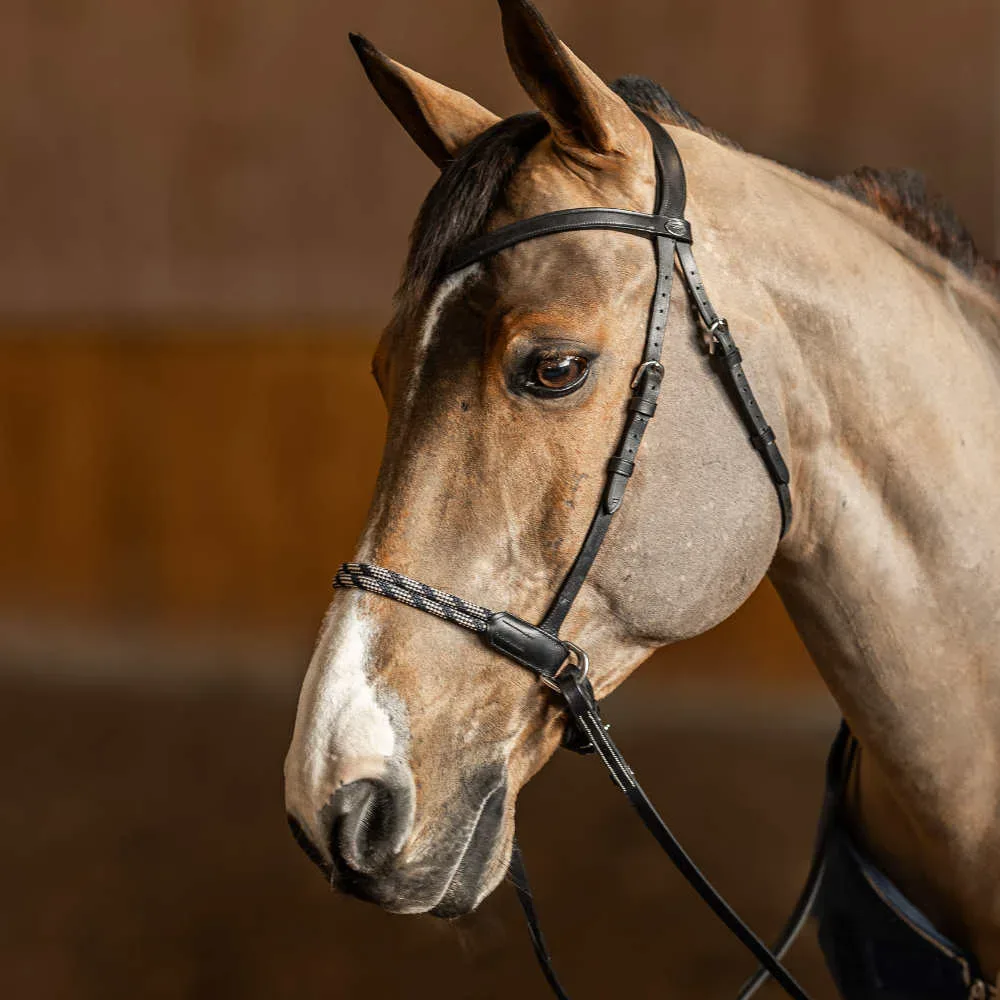 HFI gebissloser Zaum mit anatomischem Nasenriemen im Kordeldesign Freedom