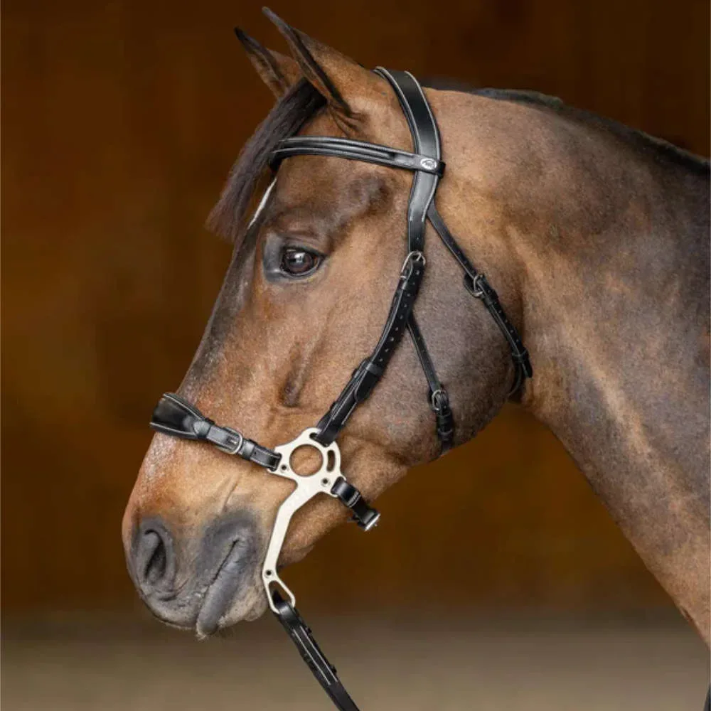 HFI anatomische Hackamore Trense mit geradem Stirnband