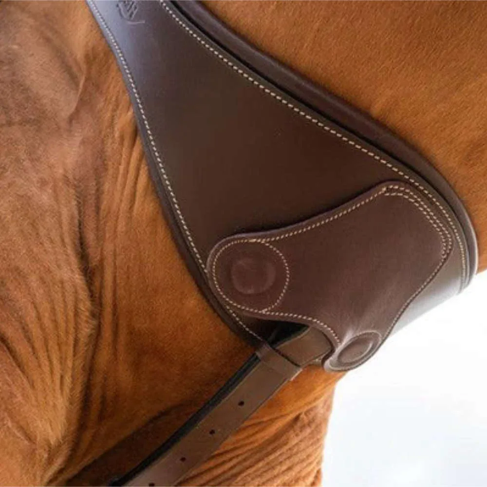 HFI anatomischer Sattelgurt mit magnetischem Stollenschutz