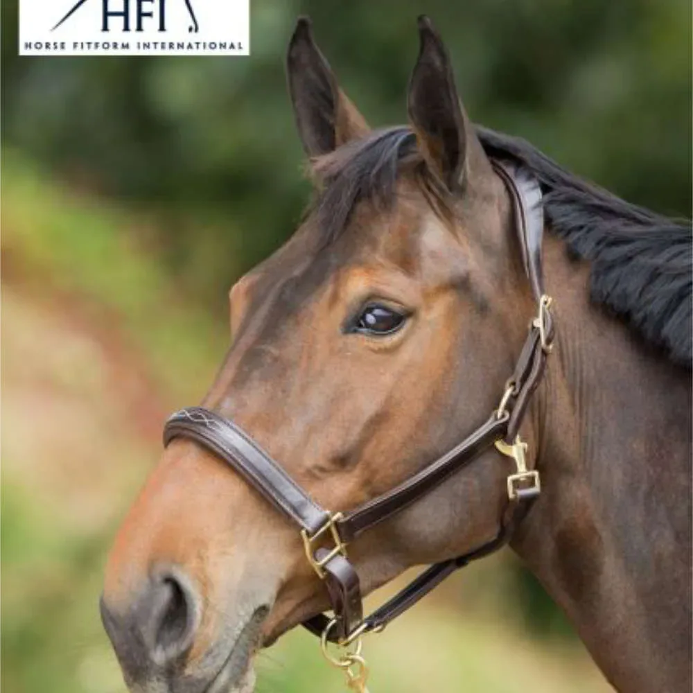 HFI anatomisches Lederhalfter mit besticktem Nasenriemen und abnehmbaren Kehlriemen