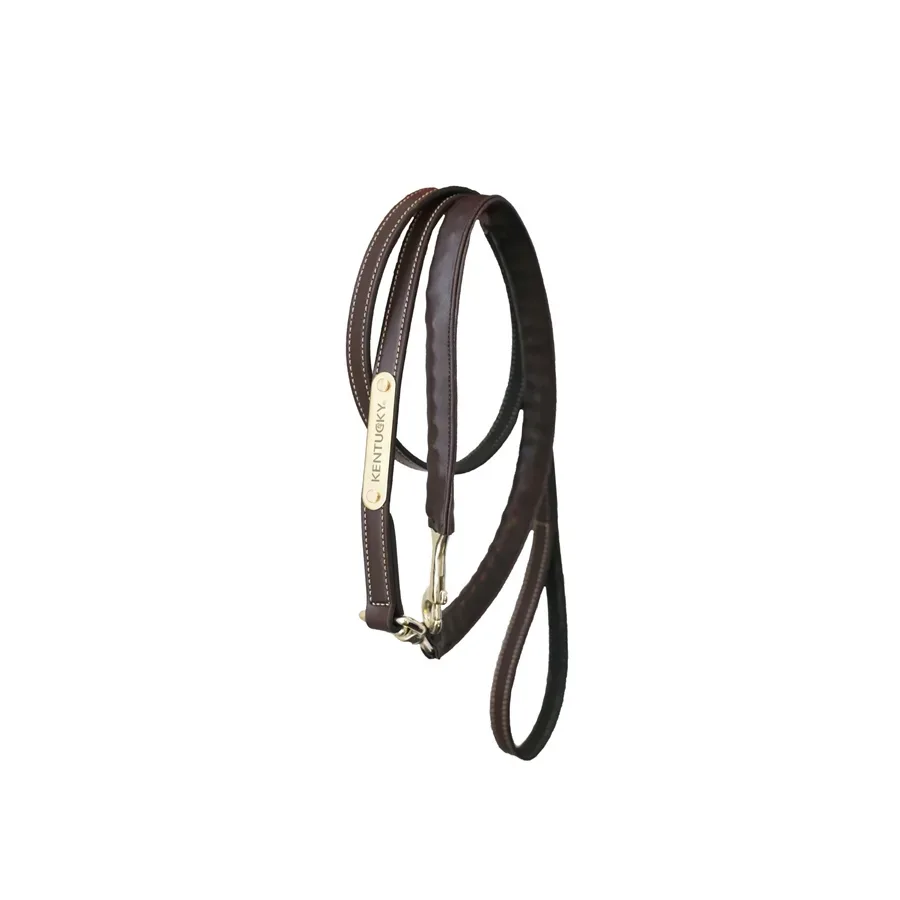 Kentucky Horsewear Leather Covered Chain Führleine