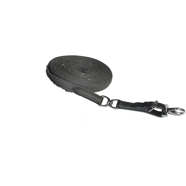 Waldhausen Longe Gurt Star