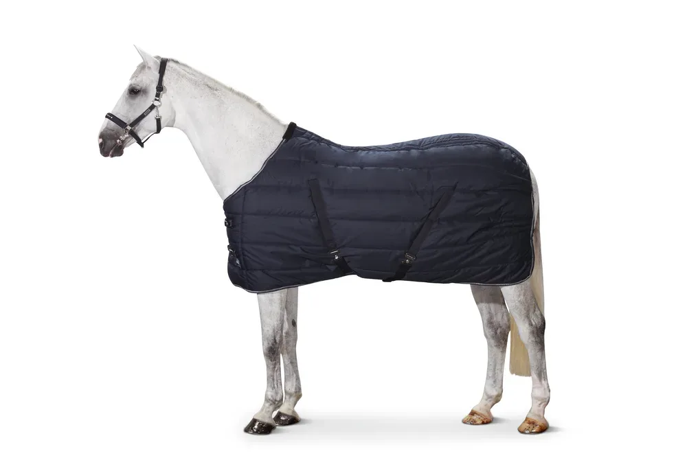 Eskadron Basics Ripstop Stable 200g Stalldecke