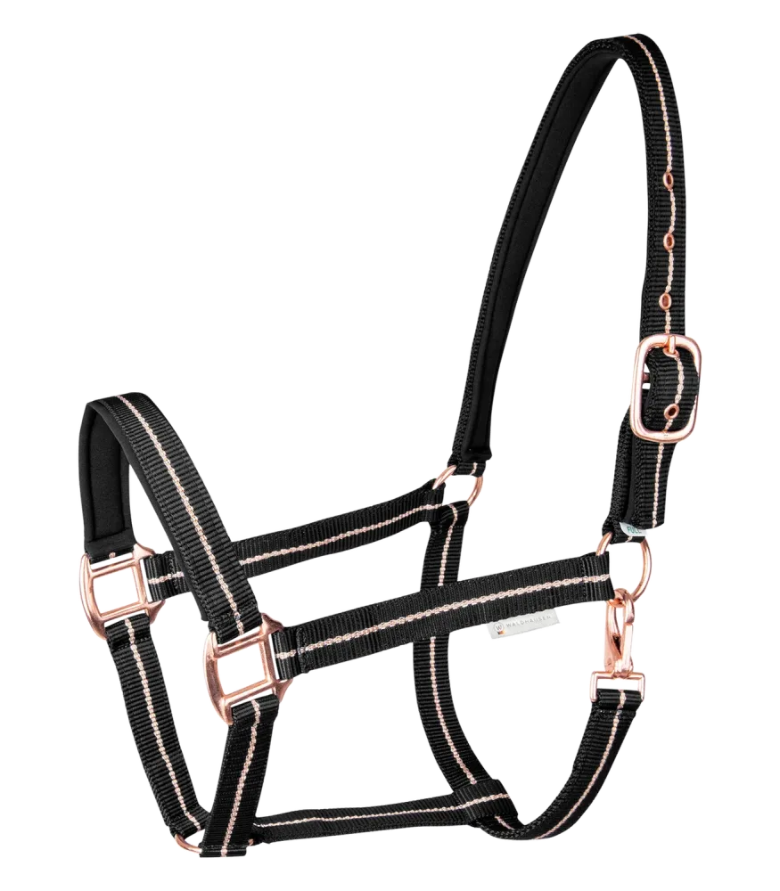 Waldhausen Halfter Rosé