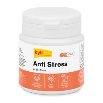 Kyli Anti Stress Cubes