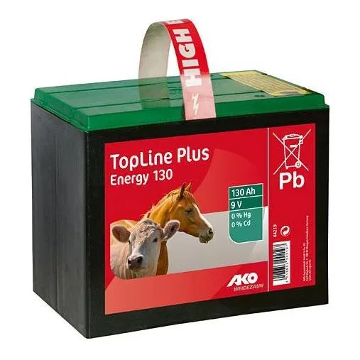 AKO TopLine Trockenbatterie 130 Ah